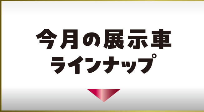 今月の展示車ラインナップ