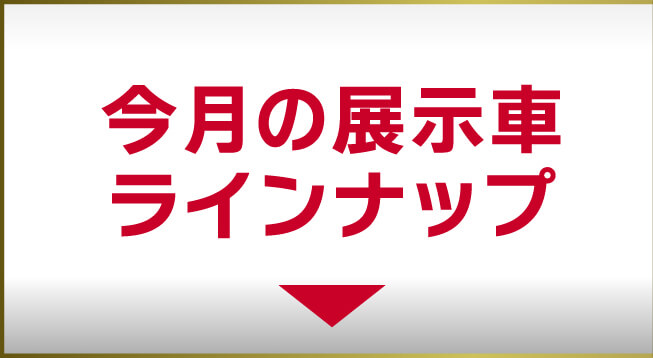 今月の展示車ラインナップ